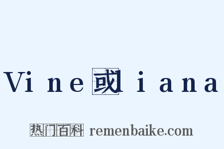 Vine或liana是什么意思的图片